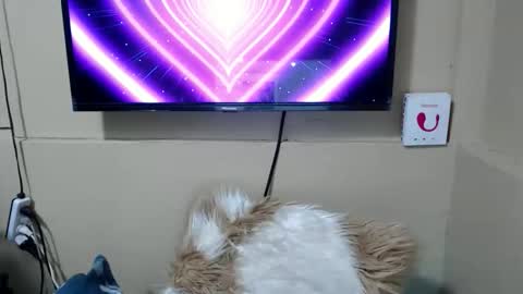 Snapshot of danica_wild chatting on 12.15.25 Danica online show from 12.15.25