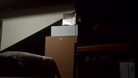 Snapshot of danieldayz chatting on 11.04.25 danieldayz online show from 11.04.25