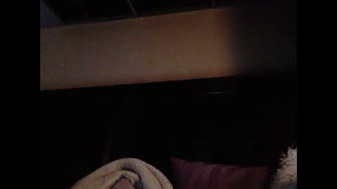 daniellbisous online show from 02.16.26