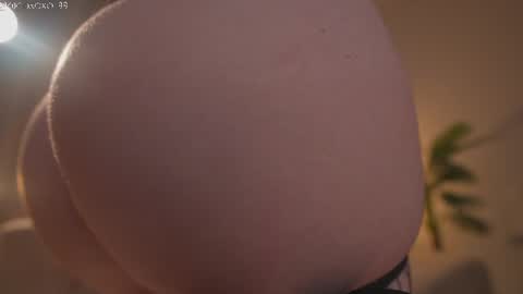      online show from 08.01.26