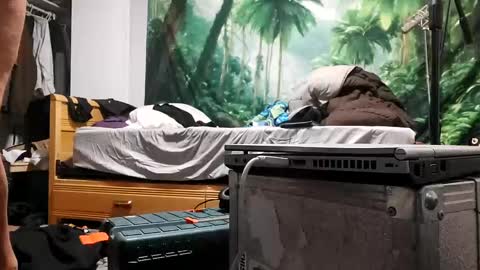 danimal5000 online show from 09.17.25