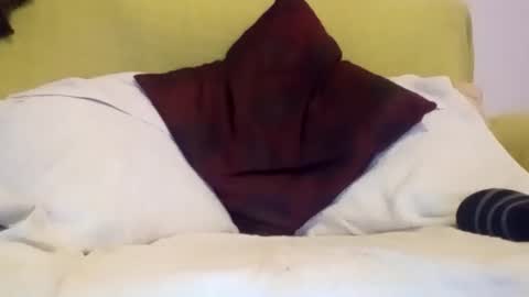 Snapshot of daniroca8 chatting on 02.17.26 daniroca8 online show from 02.17.26