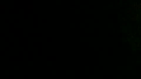 dandeb online show from 10.02.25