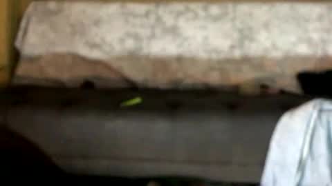 dandeb online show from 10.12.25