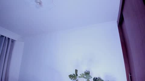 Snapshot of danna_stewart chatting on 12.30.24 Paulina online show from 12.30.24