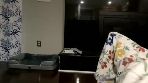 Snapshot of dannyboy621 chatting on 10.17.25 dannyboy621 online show from 10.17.25