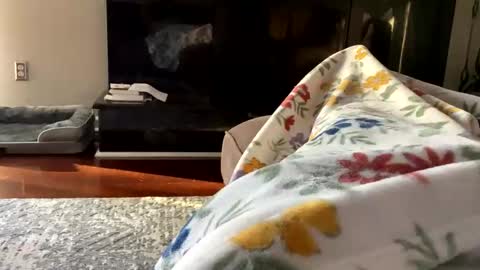 Snapshot of dannyboy621 chatting on 10.26.25 dannyboy621 online show from 10.26.25