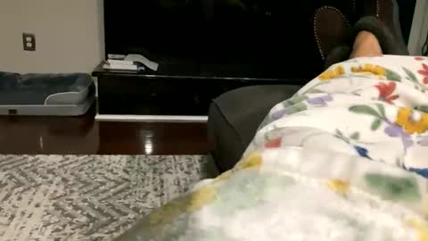 Snapshot of dannyboy621 chatting on 10.30.25 dannyboy621 online show from 10.30.25