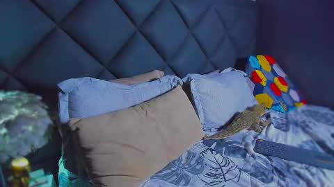 Snapshot of dany_dryy chatting on 01.17.26 Dany online show from 01.17.26