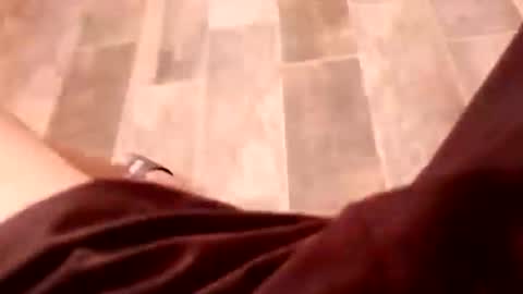 dario1127 online show from 12.15.25