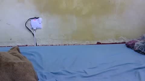 Snapshot of dark_princess1 chatting on 02.13.26 dark_princess1 online show from 02.13.26