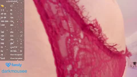 Snapshot of darkmousee chatting on 12.03.25 Grace online show from 12.03.25