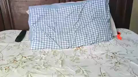 darkskinebony online show from 02.07.26