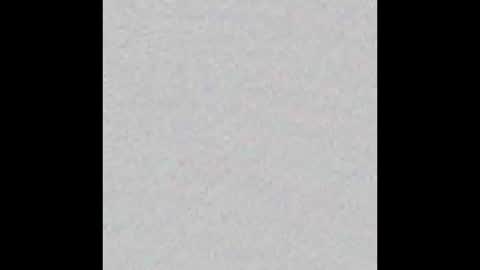 D online show from 03.23.26