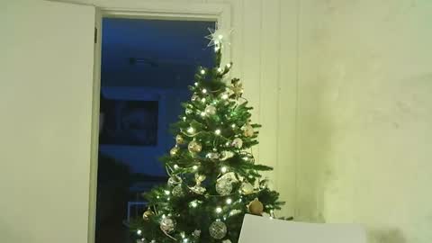 Dario online show from 12.25.24