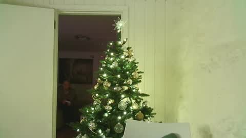 Dario online show from 01.03.25