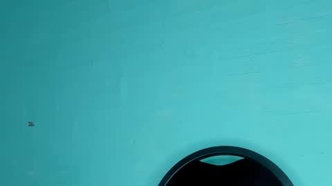 Dafne online show from 03.06.25