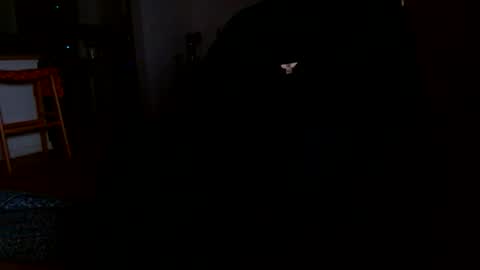 datyo1234 online show from 03.17.26