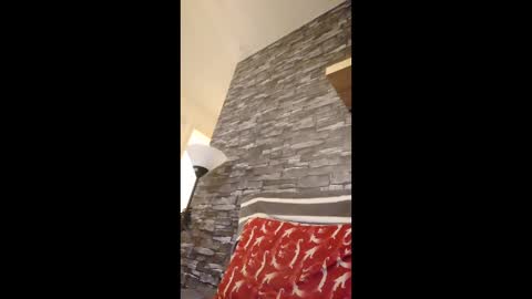 dave72303991 online show from 02.27.26