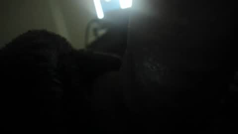 Snapshot of david089613 chatting on 01.13.26 david089613 online show from 01.13.26