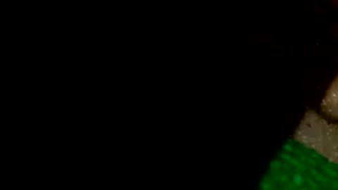 david1982yesyes online show from 04.16.26