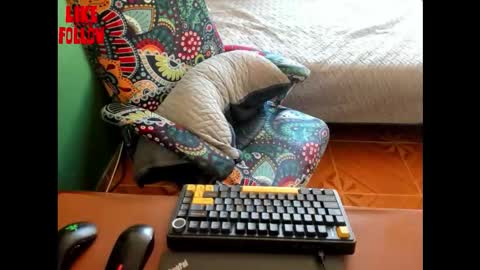 David online show from 03.21.26