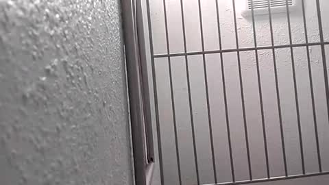 david_stone1969 online show from 01.25.25