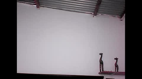 Snapshot of david_stuart07 chatting on 01.20.25 davidstuart online show from 01.20.25