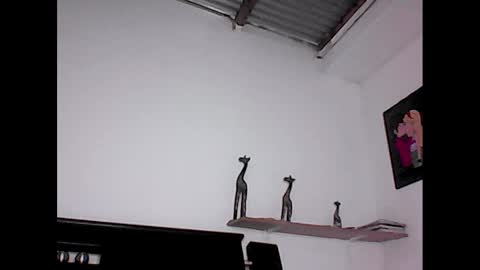 Snapshot of david_stuart07 chatting on 01.23.25 davidstuart online show from 01.23.25