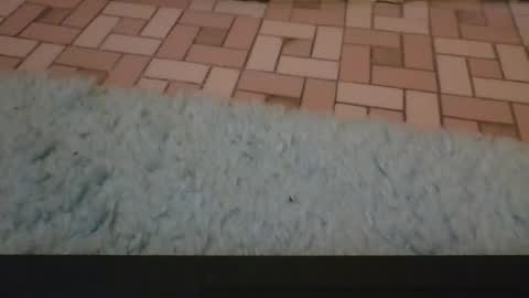 David online show from 04.03.26