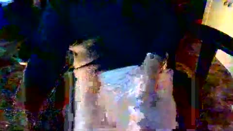 Snapshot of davidneedmore chatting on 03.03.26 davidneedmore online show from 03.03.26