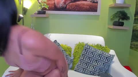 dayan_torres online show from 05.11.26