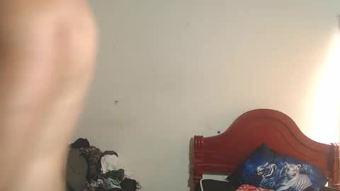 Dylon online show from 02.01.26