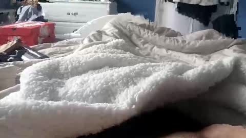 Snapshot of deano2105 chatting on 03.15.26 deano2105 online show from 03.15.26