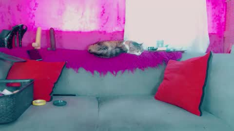 Snapshot of deboragill chatting on 03.13.26 deboragill online show from 03.13.26