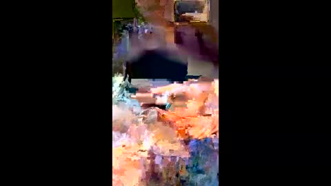 deeluey online show from 03.09.26