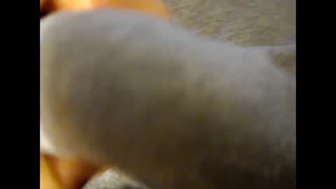 Snapshot of deliv_shopi chatting on 11.25.25 deliv_shopi online show from 11.25.25