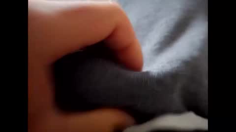 Snapshot of deliv_shopi chatting on 12.01.25 deliv_shopi online show from 12.01.25