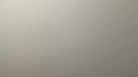 Snapshot of deliverysmile chatting on 12.19.24 Delivery online show from 12.19.24