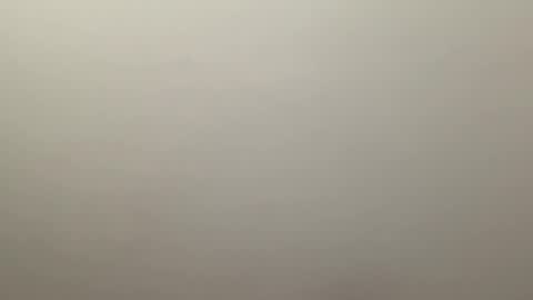 Snapshot of deliverysmile chatting on 01.04.25 Delivery online show from 01.04.25