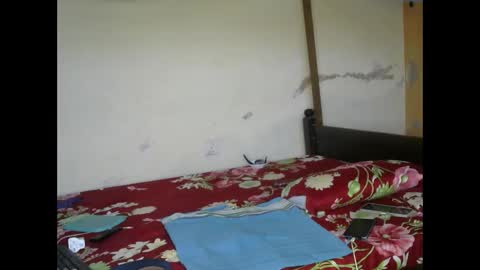 Ginger online show from 03.03.25