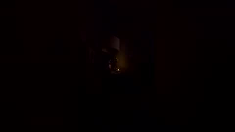 delovvv online show from 01.11.26