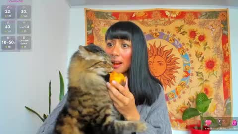 demeter__ online show from 05.04.26