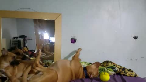 Snapshot of demivercetti chatting on 12.22.25 demivercetti online show from 12.22.25