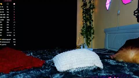 Snapshot of demmi_foxy chatting on 02.15.25 Demmi online show from 02.15.25