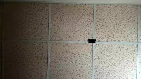 destinydiamondd online show from 01.18.26