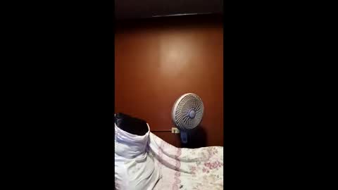 devensingh online show from 03.20.26