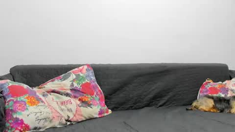 Snapshot of devinesex chatting on 02.03.25 Misha online show from 02.03.25