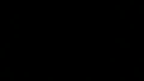 Snapshot of dexcarter81 chatting on 03.02.25 dexcarter81 online show from 03.02.25