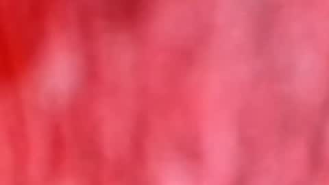 Snapshot of dhbbc454336 chatting on 01.12.26 Marcus D-von Steel as the raunchy ass sniffer thrill me with your online show from 01.12.26